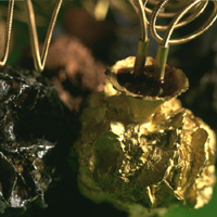 Ruudt Peters, LAPIS, Xanthosis, 1997 silver, sulphur 85 x 65 x 85 mm